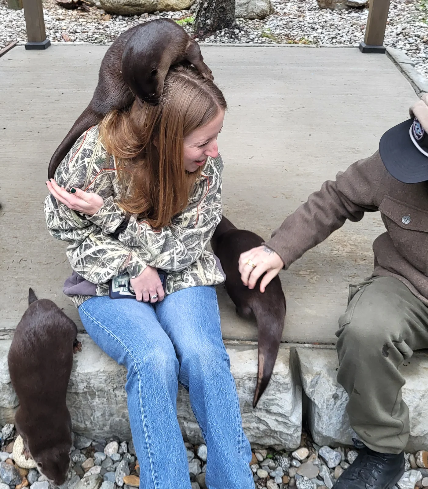 Otter photo 5