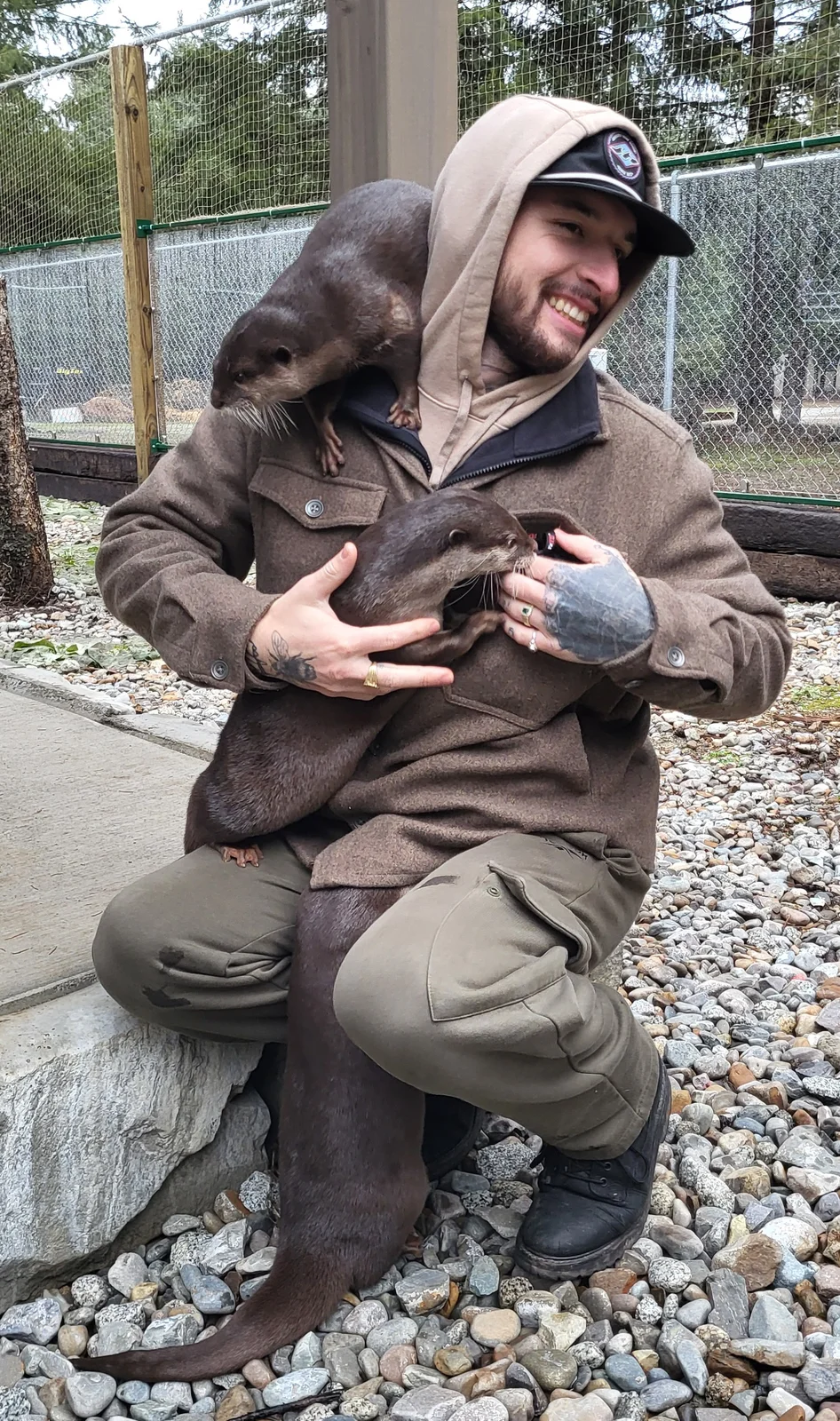 Otter photo 7