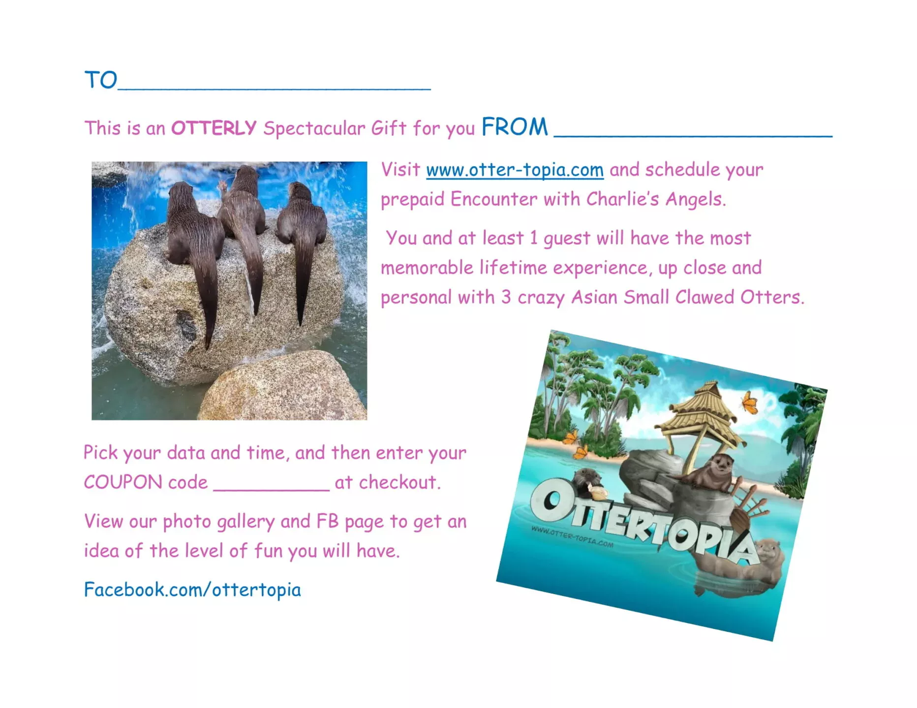 Otter Topia Gift Certificates — the perfect surprise for any occasion